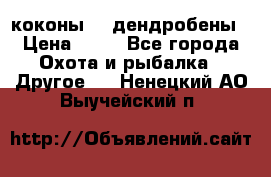 коконы    дендробены › Цена ­ 25 - Все города Охота и рыбалка » Другое   . Ненецкий АО,Выучейский п.